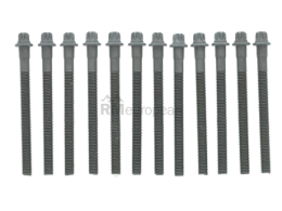 BMW Cylinder Head Bolt Set Elring Klinger 11127838831