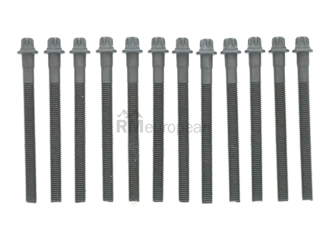 BMW Cylinder Head Bolt Set Elring Klinger 11127838831