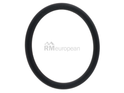 VW-Audi Coolant Flange Seal Elring Klinger WHT001688