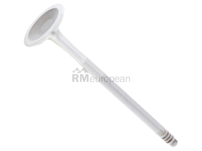 BMW Exhaust Valve TRW 11347553772