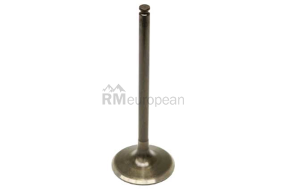 Mercedes Exhaust Valve TRW 1130500327