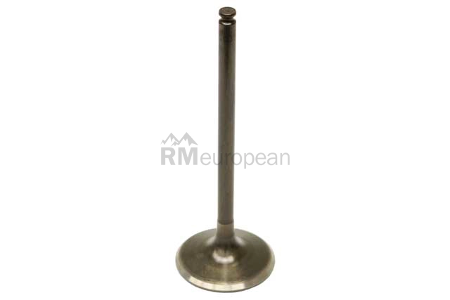 Mercedes Exhaust Valve TRW 1130500327