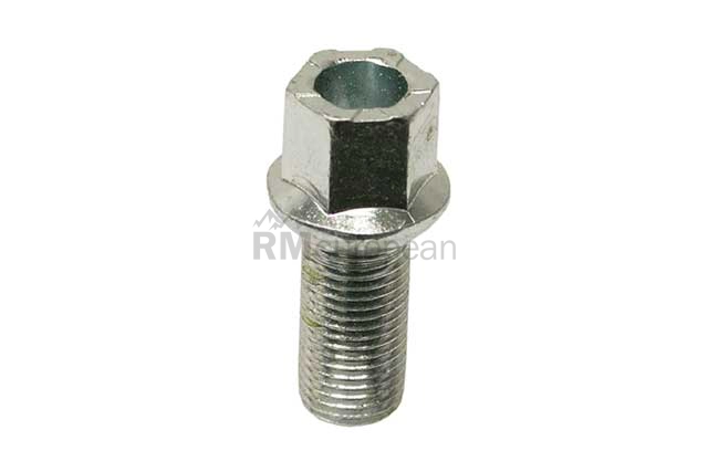 VW-Audi Lug Bolt Rein Automotive WHT002437