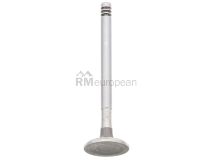 VW-Audi Intake Valve Jopex 113109601B