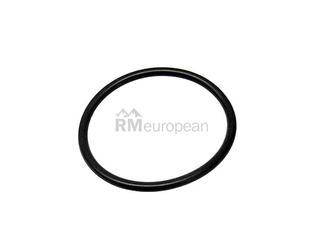 BMW O-Ring VDO 16111744369