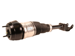 Mercedes Suspension Strut Assembly O.E.M. 1663205066