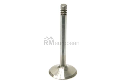 Porsche Exhaust Valve TRW 96410541903