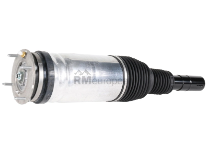 Land Rover Strut BWI LR087081