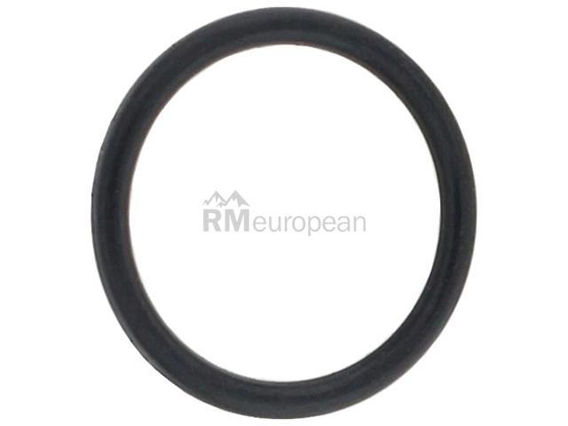 Porsche O-Ring O.E.M. 99923054240