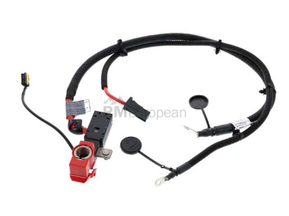 BMW Battery Cable Genuine BMW 61129130313