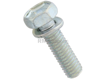 VW-Audi Transmission Pan Bolt Genuine VW/Audi WHT000309