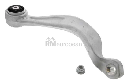 BMW Control Arm Delphi 31106770685