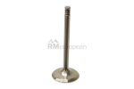 VW-Audi Intake Valve TRW 028109601D