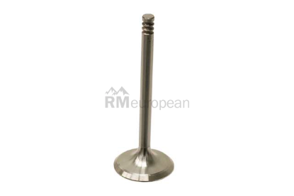 VW-Audi Intake Valve TRW 028109601D