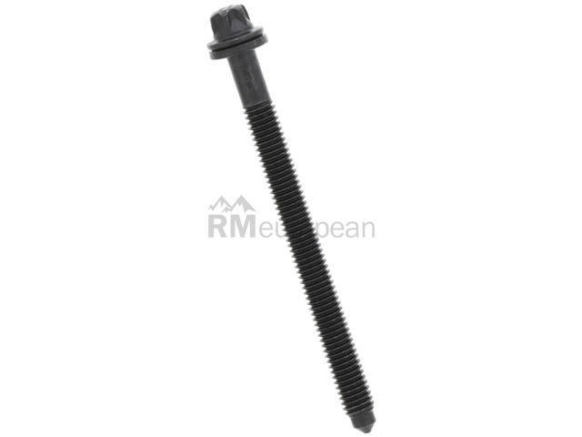 Fuel Rail Screw Genuine BMW/Mini 13538661715