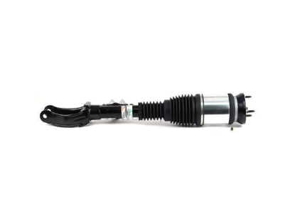 Mercedes Air Suspension Strut Arnott Industries 1663205166