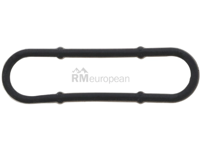 VW-Audi Chain Tensioner Gasket Victor Reinz 079109139L