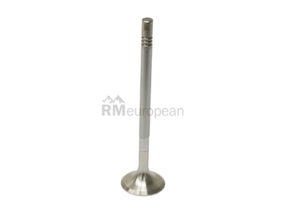 Dodge Exhaust Valve Intervalves 05175397AA