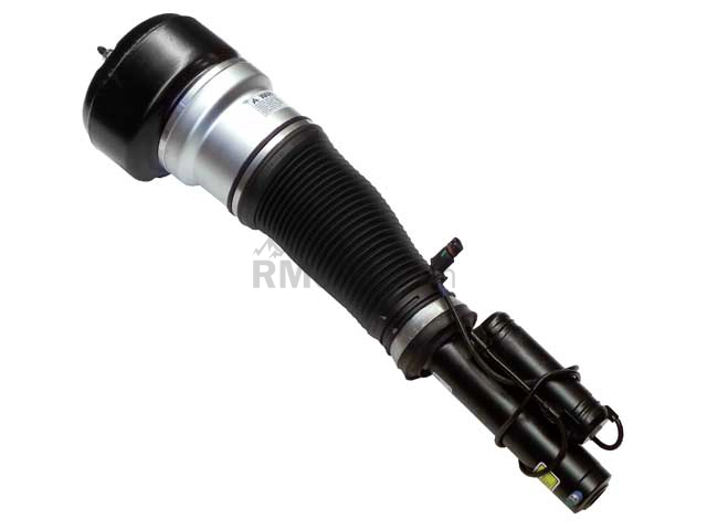 Mercedes Strut Arnott Industries 221320931388