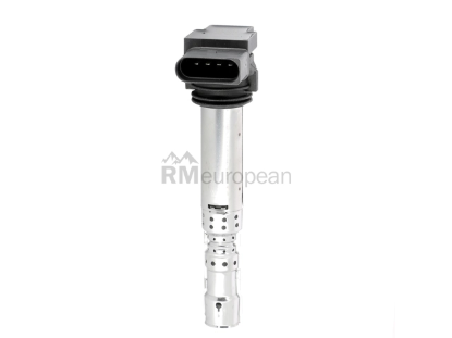 VW-Audi Ignition Coil Beru 07C905715A
