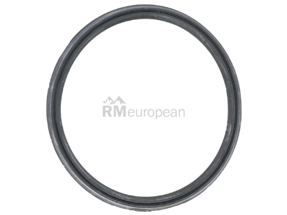 BMW Seal Elring Klinger 13718596850