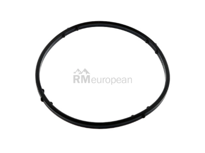 VW-Audi Thermostat O-Ring Mahle 07K121119A