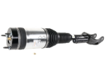 Mercedes Air Suspension Strut Arnott Industries 1663200300