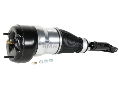 Mercedes Air Suspension Strut Arnott Industries 222320250089