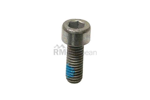 BMW Fillister Head Screw Genuine BMW 13627545338
