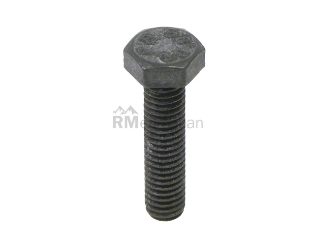 BMW Hex Head Bolt Genuine BMW 07119913589