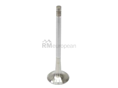 VW-Audi Exhaust Valve TRW 06D109611H