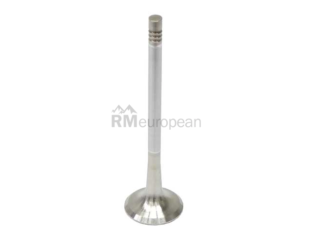 VW-Audi Exhaust Valve TRW 06D109611H