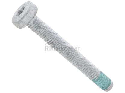 Porsche Cylinder Head End Bolt Rein Automotive N10470705