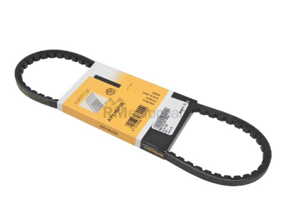 Porsche Belt 10 X 725 Continental 99919209750