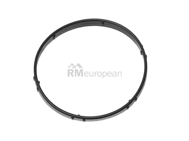 Land Rover Thermostat Seal Eurospare 4362513