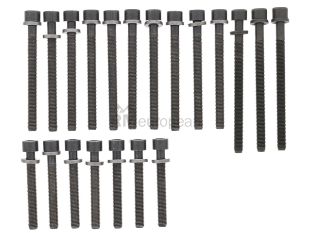 VW-Audi Cylinder Head Bolt Set Elring Klinger 210306100