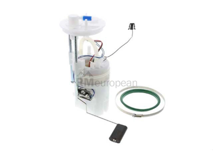 BMW Fuel Pump Assembly Delphi 16117207599