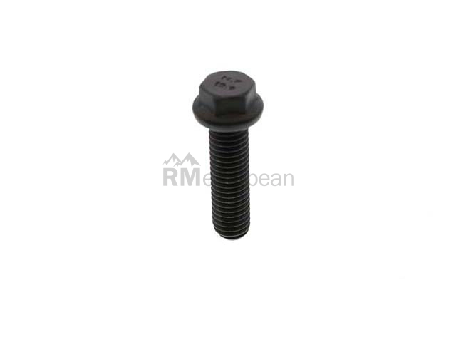 Mini Exhaust Manifold Bolt Genuine Mini 07136800269