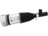 Volvo Air Suspension Strut Arnott Industries 32269549