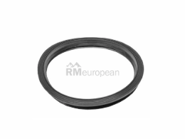 Porsche Sealing Ring Genuine Porsche 95520113301