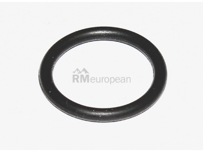 VW-Audi Coolant Pipe O-Ring Elring Klinger WHT001011