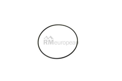 Volvo Engine Oil Pump O-Ring Victor Reinz 981204
