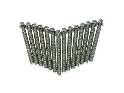 BMW Cylinder Head Bolt Set Victor Reinz 11121721938