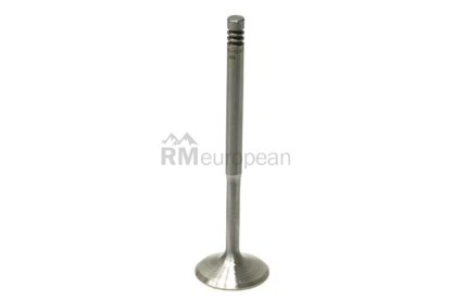 VW-Audi Intake Valve SM Engine Parts 077109601Q