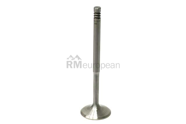 VW-Audi Intake Valve SM Engine Parts 077109601Q