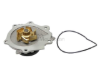 Volvo Water Pump Graf 31293303