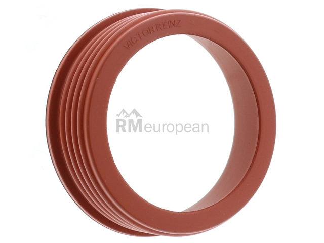 BMW Seal Victor Reinz 13718646450