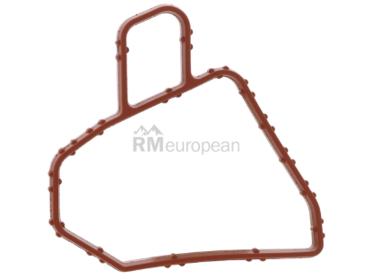 VW-Audi Gasket Elring Klinger 079129717J