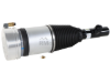 Volvo Air Suspension Strut Arnott Industries 32269548