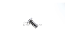 VW-Audi Camshaft Adjuster INA 06H109257C